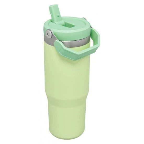 Stanley The IceFlow Flip Straw Tumbler Citron 1 Stanley The IceFlow Flip Straw Tumbler Citron