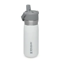 Stanley The IceFlow Flip Straw Water Bottle 650 Ml Polar